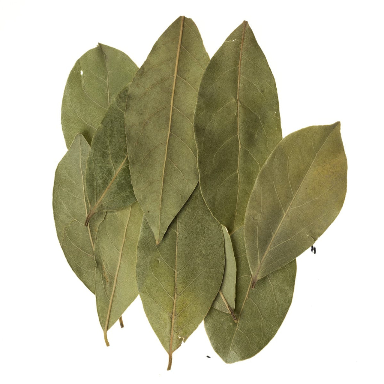 Bay Leaves (5lbs)