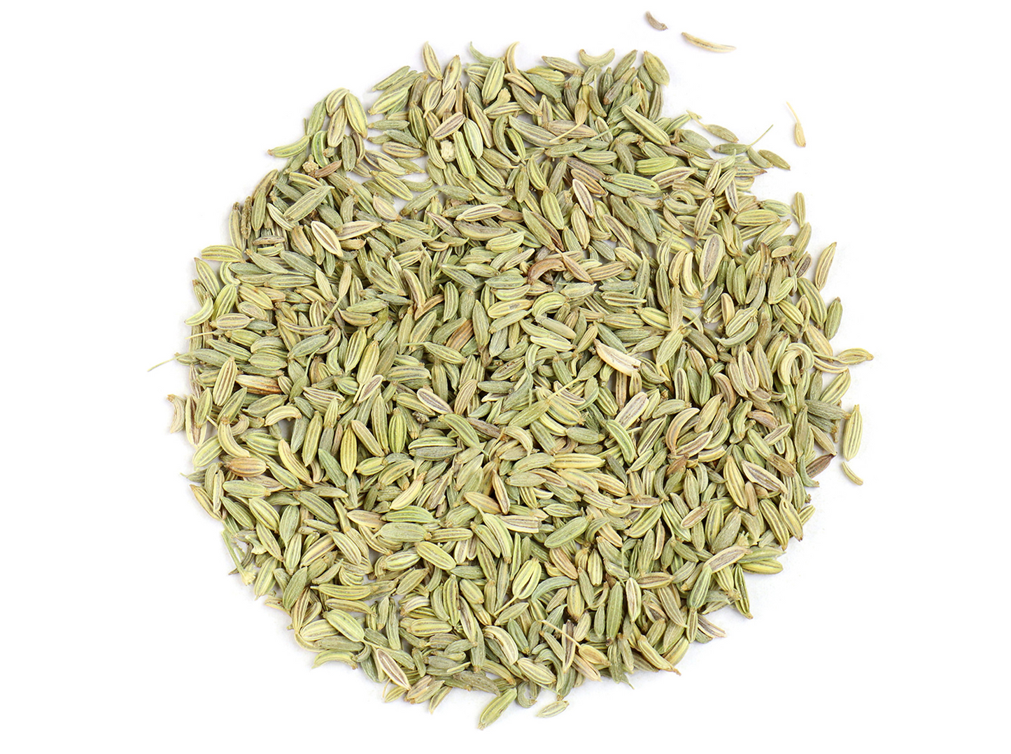 Fennel (5lbs)