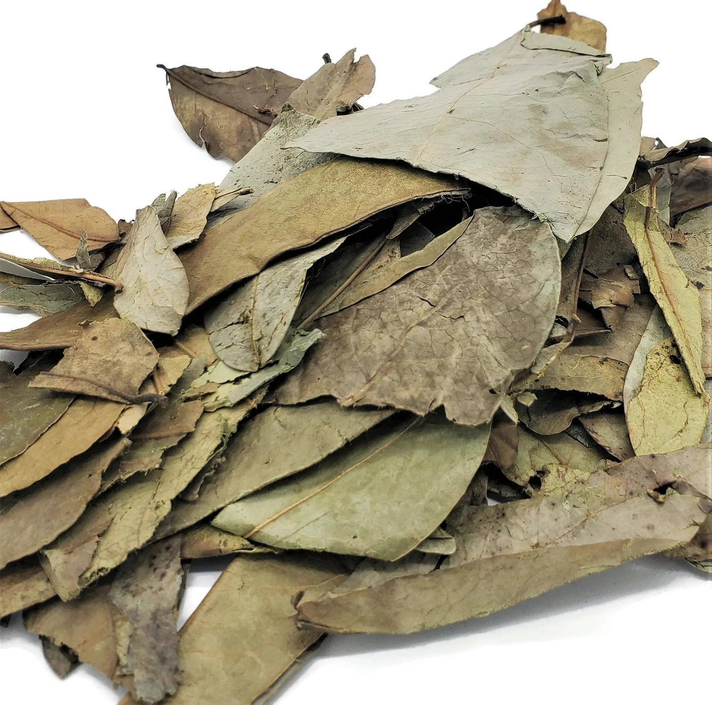 Soursop Leaves (5lbs)